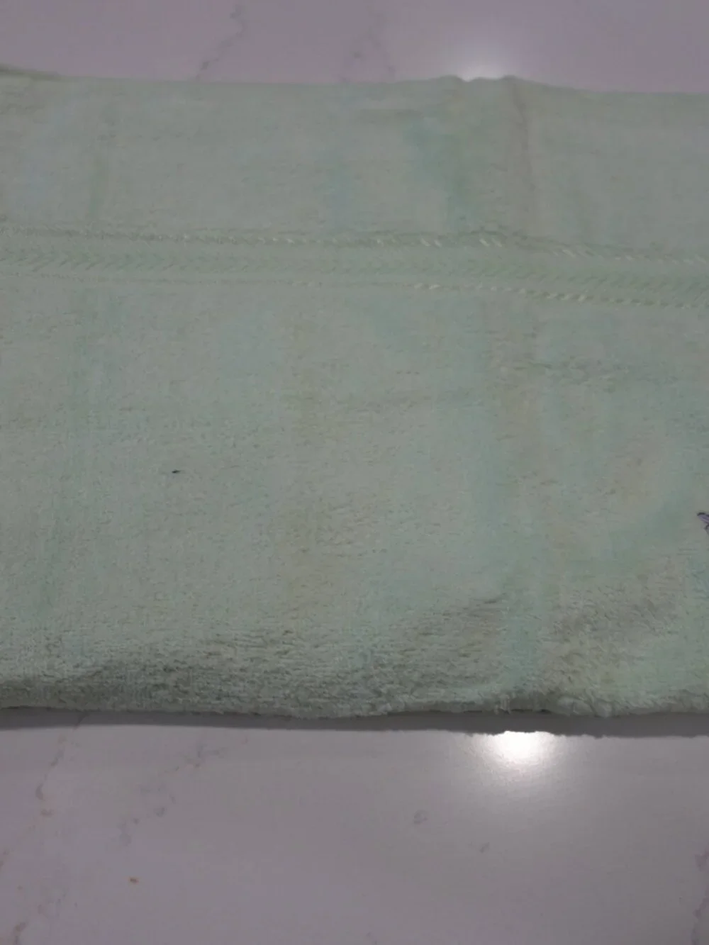 Silky Touch Bath Towel Light Green Floral Embroidery Size 24